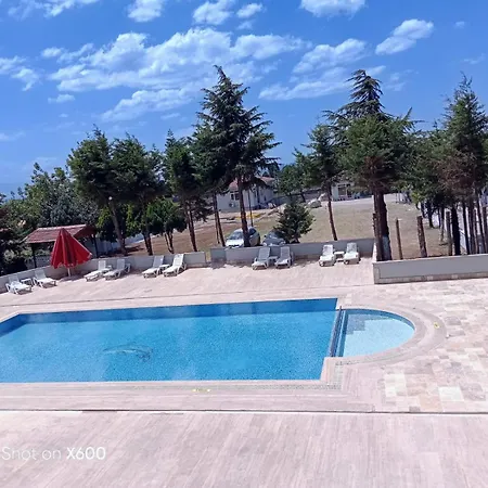 Bayramoglu *